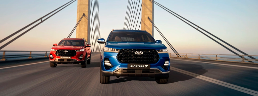 Купить XCITE в Новосибирске