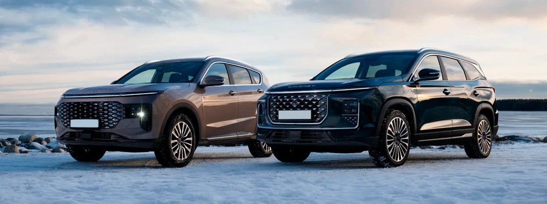 Купить SOUEAST в Новосибирске